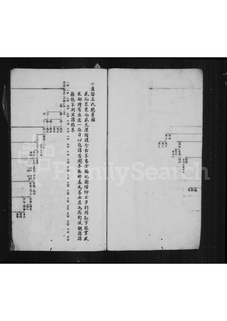 4557.小卢梨王氏房谱(别名：王氏家乘).pdf电子版插图3