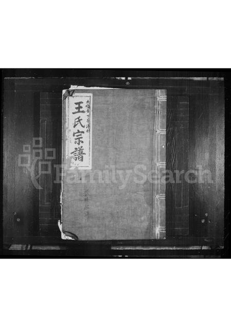 4558.后洋王氏宗谱(别名：王氏宗谱).pdf电子版