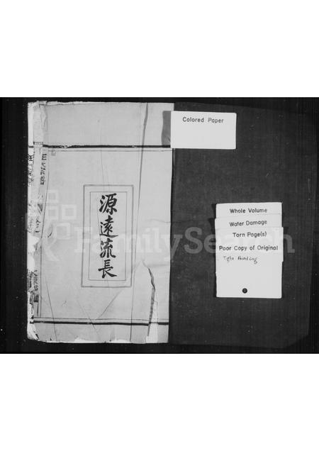 4558.后洋王氏宗谱(别名：王氏宗谱).pdf电子版插图1