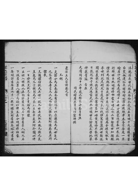 4558.后洋王氏宗谱(别名：王氏宗谱).pdf电子版插图5