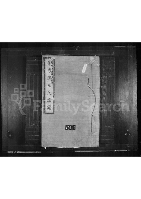 4564.王氏家乘(别名：峰秀冈王氏族谱).pdf电子版