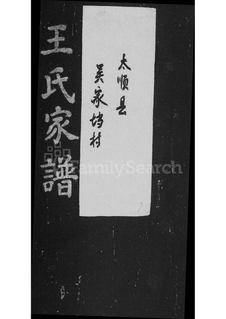 4565.王氏家谱.pdf电子版