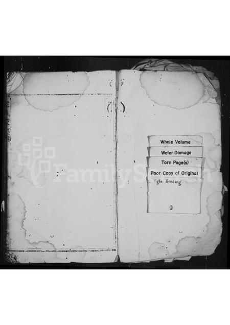 4565.王氏家谱.pdf电子版插图1