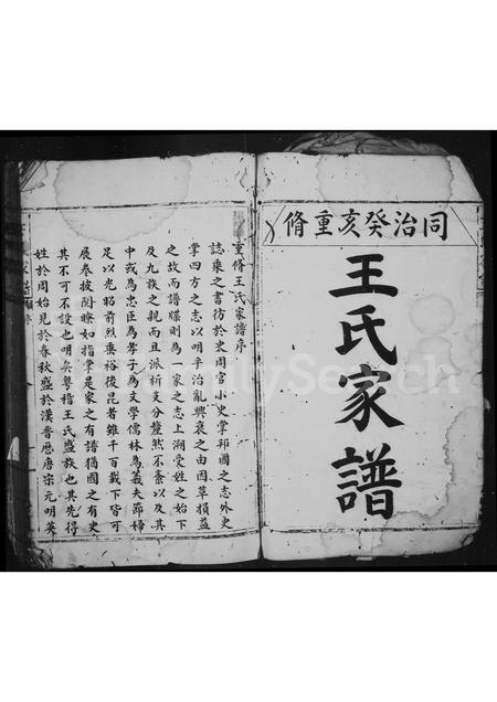 4565.王氏家谱.pdf电子版插图2