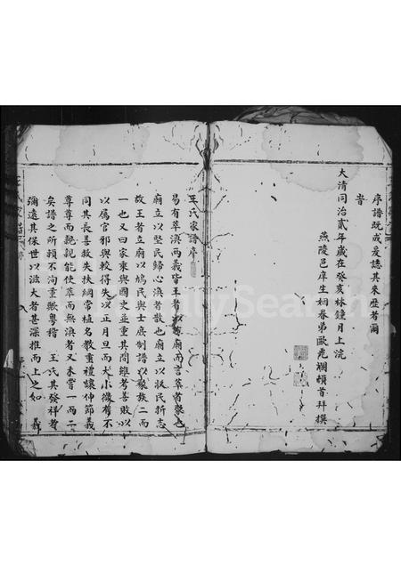 4565.王氏家谱.pdf电子版插图4