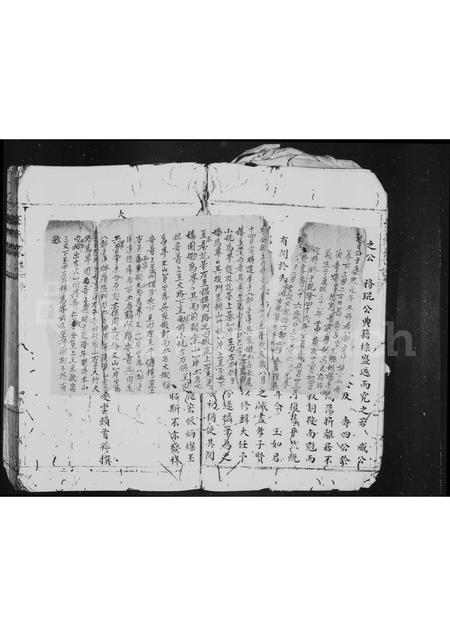 4565.王氏家谱.pdf电子版插图5