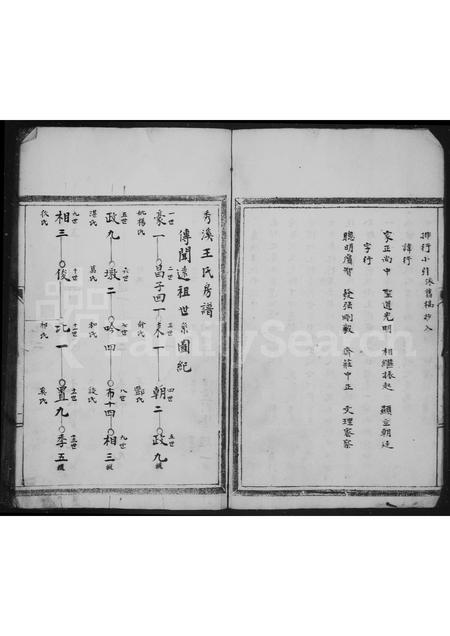 4566.秀溪王氏家乘.pdf电子版插图3