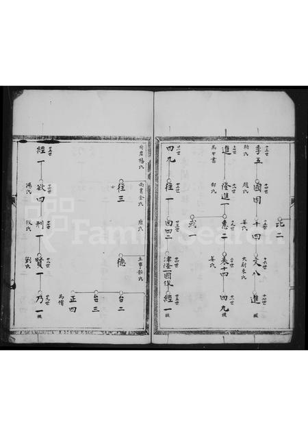 4566.秀溪王氏家乘.pdf电子版插图4