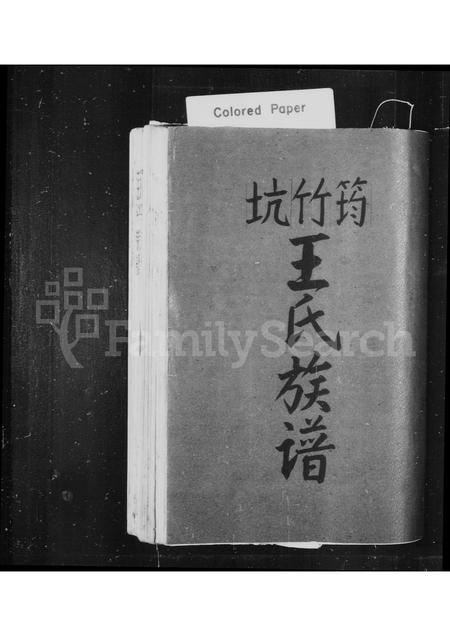 4567.筠竹坑王氏族谱(别名：泰顺南溪筠竹坑王氏宗谱、王氏宗谱).pdf电子版插图1