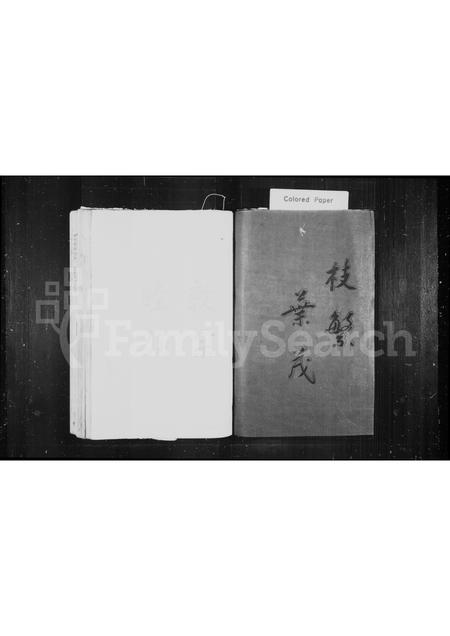 4567.筠竹坑王氏族谱(别名：泰顺南溪筠竹坑王氏宗谱、王氏宗谱).pdf电子版插图2