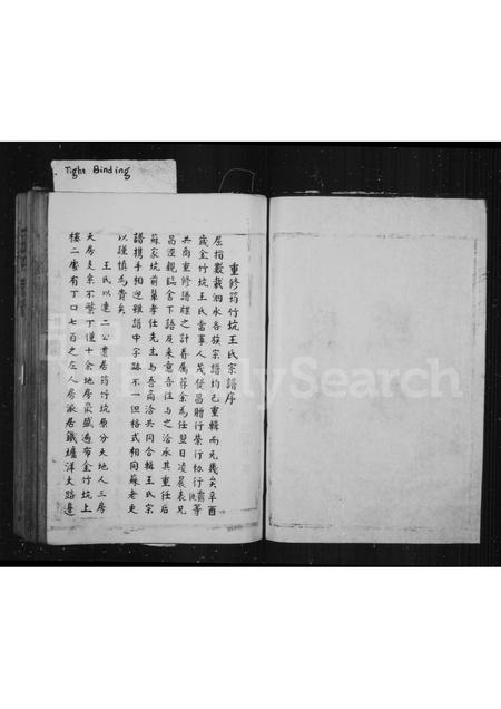 4567.筠竹坑王氏族谱(别名：泰顺南溪筠竹坑王氏宗谱、王氏宗谱).pdf电子版插图4