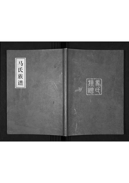 山西马氏-马氏族谱.pdf电子版插图