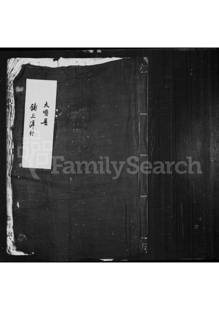 4568.铺上洋王氏族谱.pdf电子版