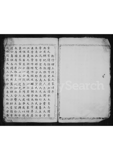 4568.铺上洋王氏族谱.pdf电子版插图3