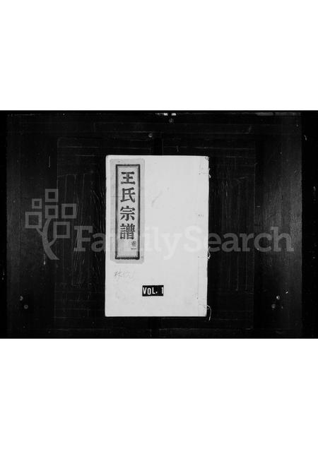 4571.王氏宗谱.pdf电子版