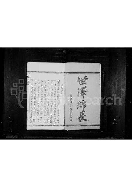 4571.王氏宗谱.pdf电子版插图2