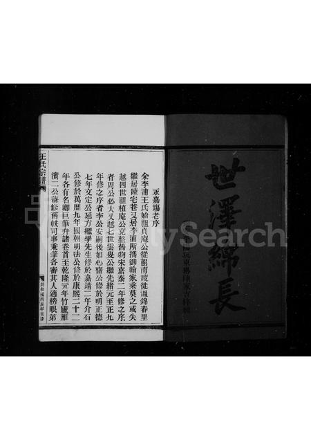 4571.王氏宗谱.pdf电子版插图3