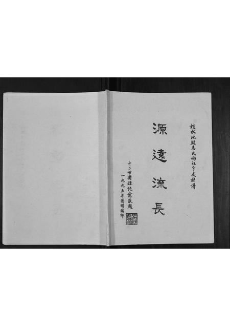 广西马氏-马氏家谱[不分卷].pdf电子版插图