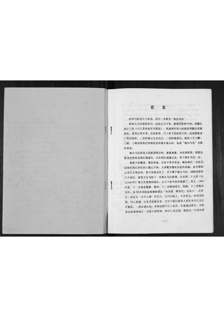 广西马氏-马氏家谱[不分卷].pdf电子版插图1