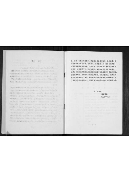 广西马氏-马氏家谱[不分卷].pdf电子版插图2