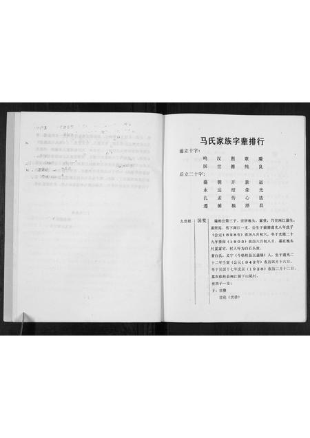 广西马氏-马氏家谱[不分卷].pdf电子版插图3