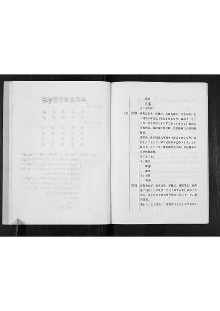 广西马氏-马氏家谱[不分卷].pdf电子版插图4