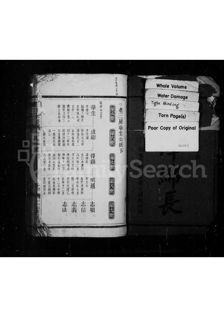 4572.王氏宗谱.pdf电子版插图1