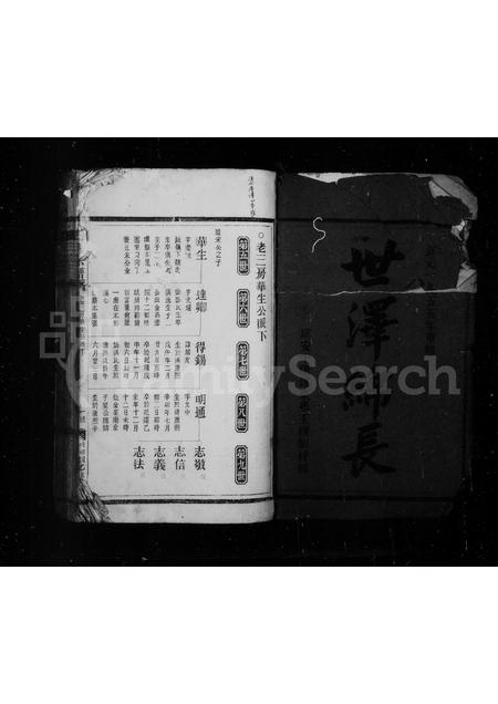 4572.王氏宗谱.pdf电子版插图2