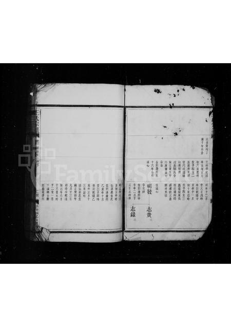 4572.王氏宗谱.pdf电子版插图3