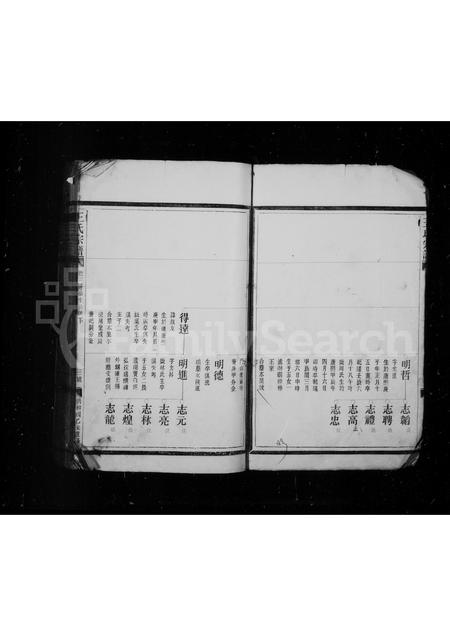 4572.王氏宗谱.pdf电子版插图4