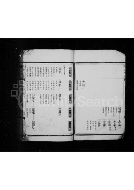 4572.王氏宗谱.pdf电子版插图5