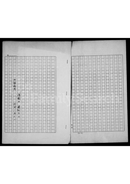 4580.[王氏]家谱.pdf电子版插图1