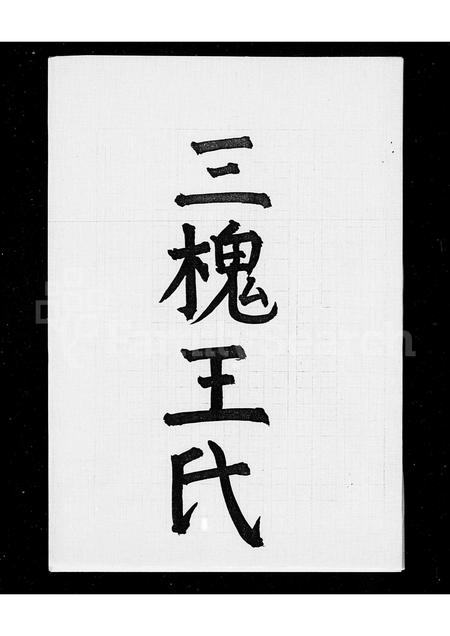 4581.三槐王氏族谱.pdf电子版插图1