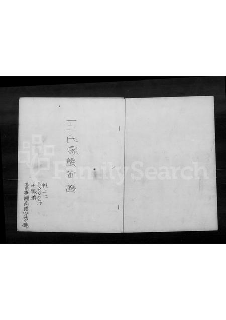 4591.王氏家族祖谱.pdf电子版插图2