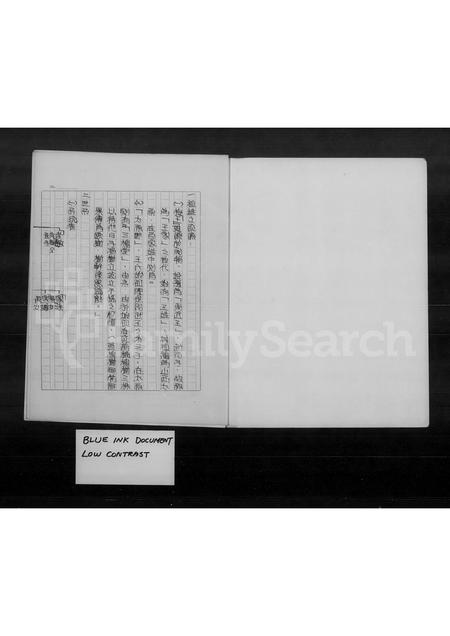 4591.王氏家族祖谱.pdf电子版插图3