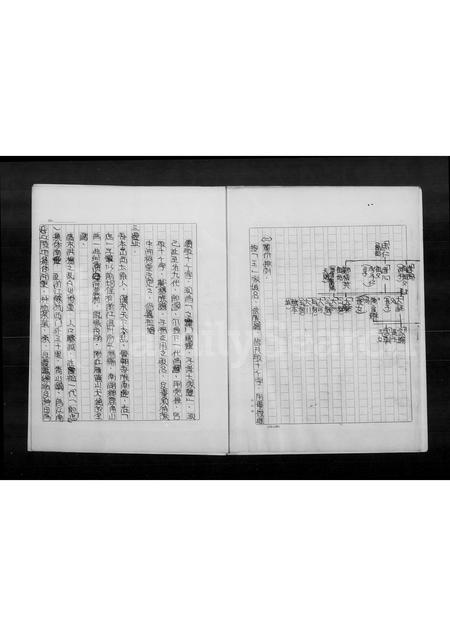 4591.王氏家族祖谱.pdf电子版插图4