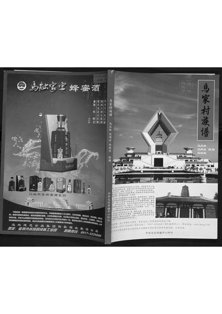 陜西马氏-马家村族谱.pdf电子版插图