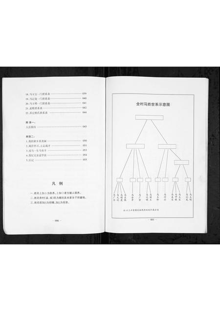 山西马氏孟氏-[马氏] [孟氏] 后王堤村姓氏族谱汇编 [1册](别名：Hou Wang Ti Cun Xing Shi Zu Pu Hui Bian).pdf电子版插图5