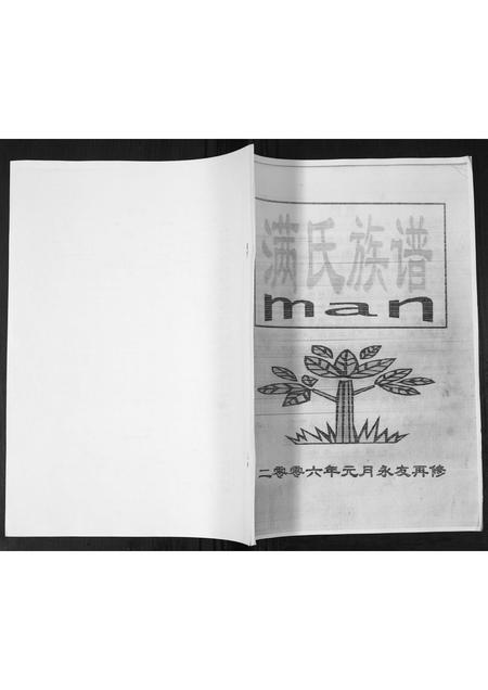 山东满氏-满氏族谱.pdf电子版插图