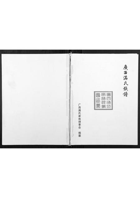 广西满氏-广西满氏族谱.pdf电子版插图