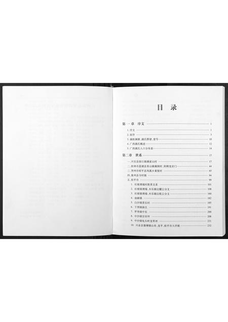 广西满氏-广西满氏族谱.pdf电子版插图1
