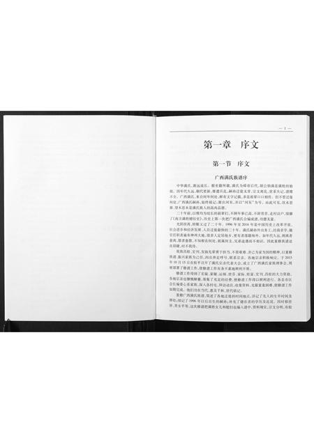 广西满氏-广西满氏族谱.pdf电子版插图3