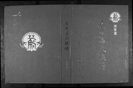广西满氏-广西省满氏族谱.pdf电子版插图
