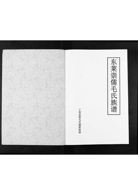 山东毛氏-东莱崇儒毛氏族谱[不分卷].pdf电子版插图1