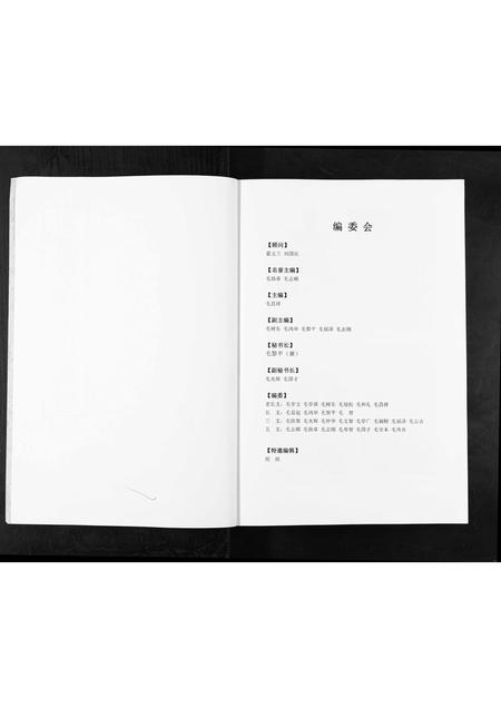 山东毛氏-东莱崇儒毛氏族谱[不分卷].pdf电子版插图2