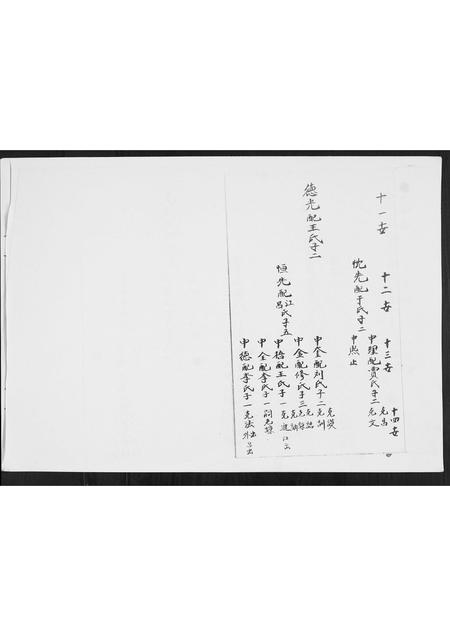 山东毛氏-毛氏家族4维堂分支3泰堂族谱.pdf电子版插图1