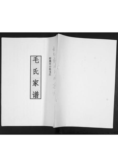 山东毛氏-毛氏家谱[不分卷].pdf电子版