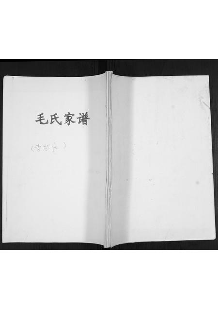 山东毛氏-毛氏家谱[不分卷].pdf电子版