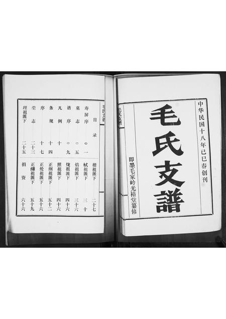 山东毛氏-毛氏支谱[不分卷].pdf电子版插图1