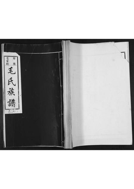 山东毛氏-毛氏族谱[不分卷].pdf电子版